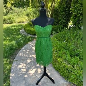 Shelli Segal lace fitted cocktail dress